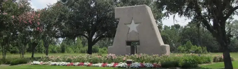 Local SEO Atascocita