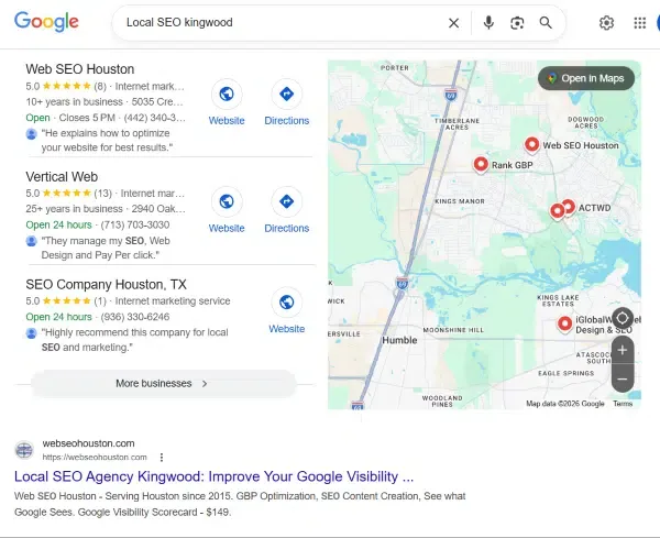 Local SEO Agency Google search screenshot
