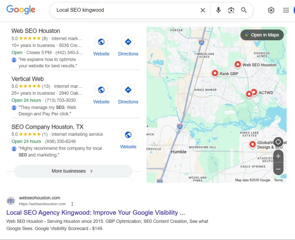 Local SEO Agency Google search screenshot